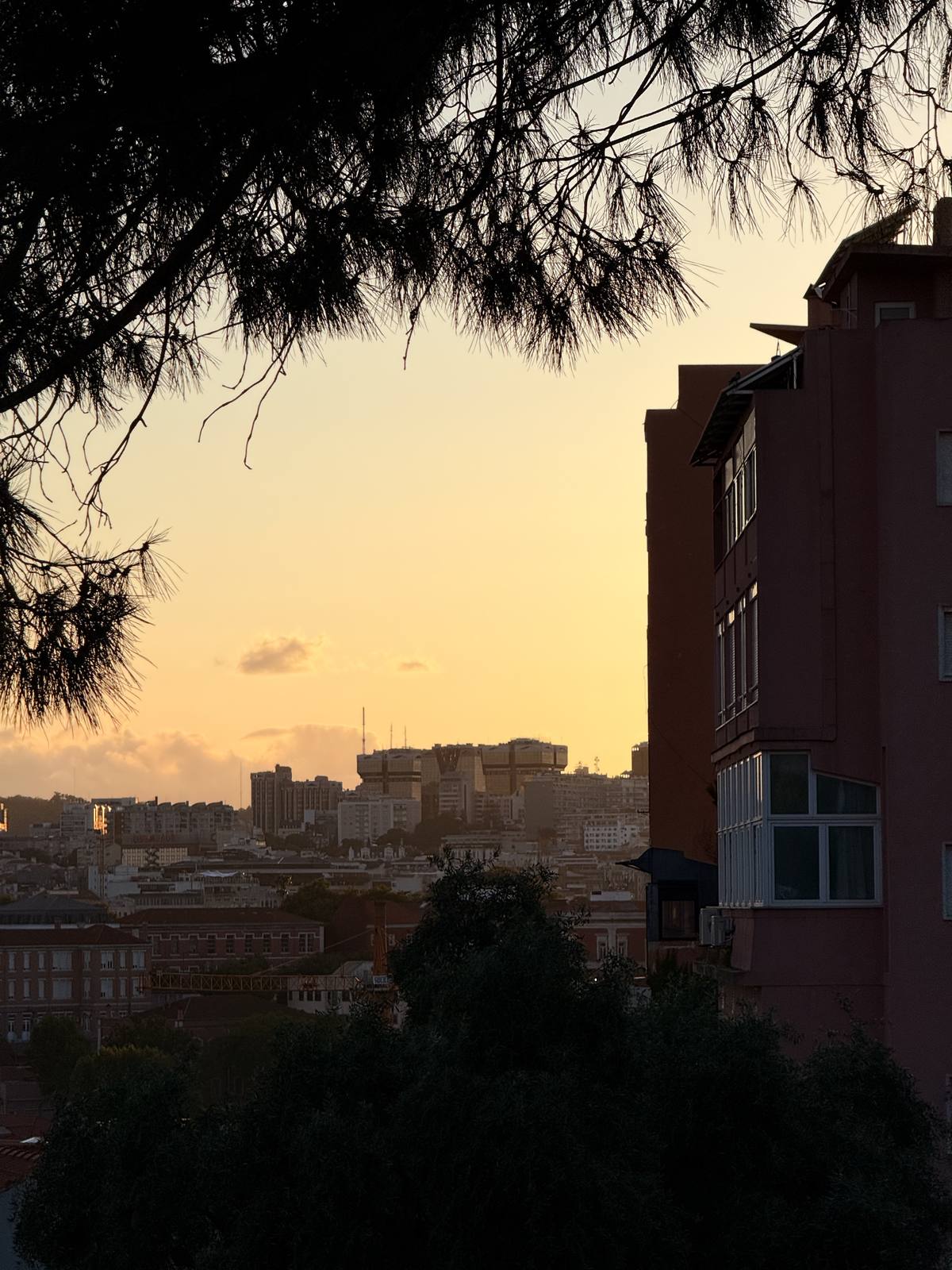 City Burning Below, Graça & Miradouros, Lisbon — Golden sunset bleeds across rooftops from the miradouro edge — bare tree branches and building silhouettes frame a layered Lisbon panorama.