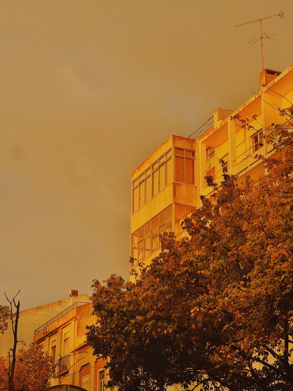 Storm Gold Over Canopy, Penha de França, Lisbon — A golden-hour storm sky with a tree and glazed corner balcony has atmosphere but casual framing and no clear anchor.