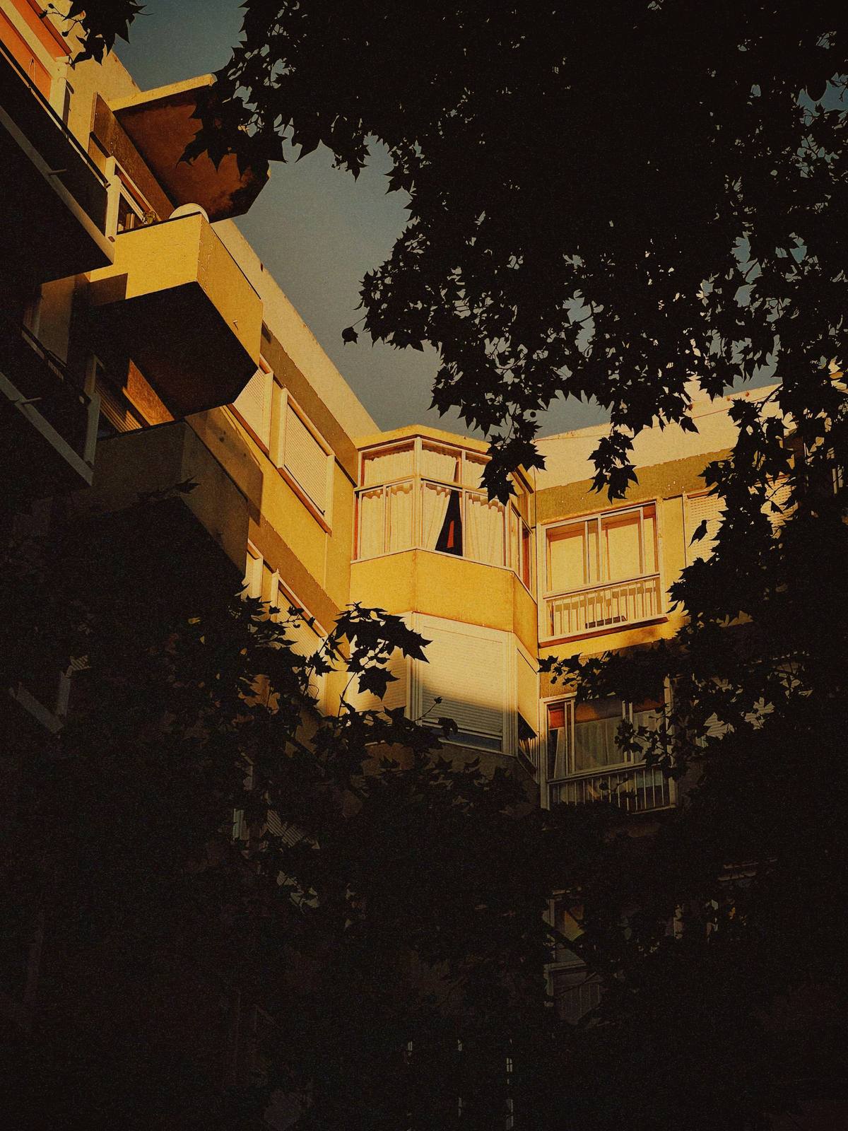 Yellow Building Through Dark Leaves, Penha de França, Lisbon — Sunlit yellow balconies framed through silhouetted canopy — the warmth is there but framing is loose, no clear focal anchor.