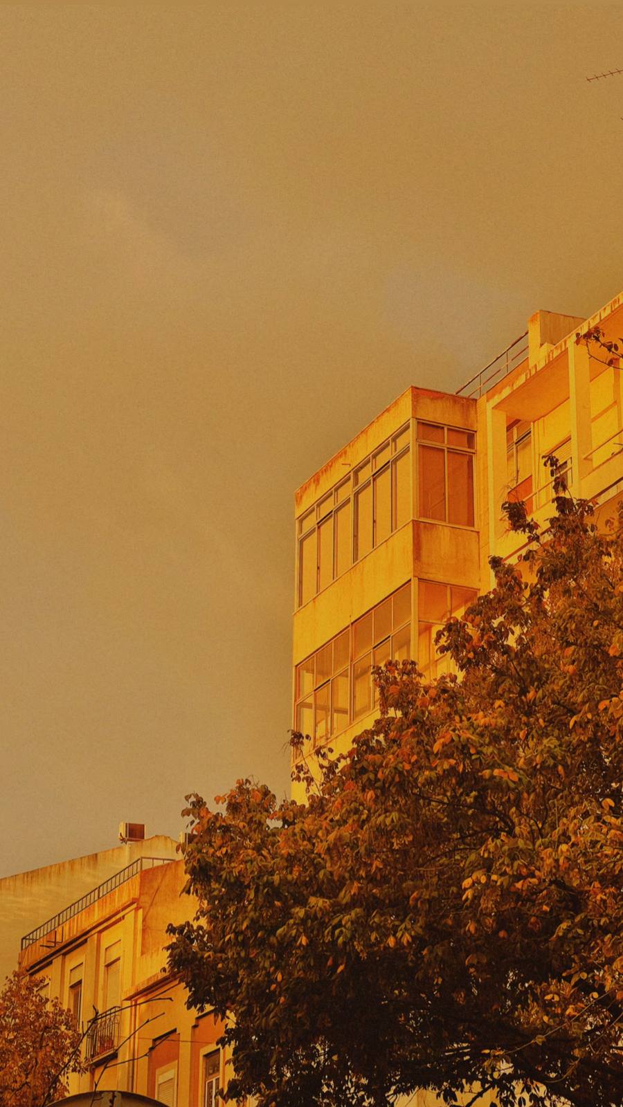 Amber Block, Autumn Trees, Penha de França, Lisbon — Golden storm light drenches a modernist corner block — warm palette, strong diagonal between tree and building.